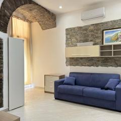 Rio Centro cozy apt in the center of Riomaggiore