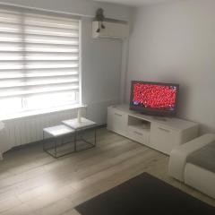 Studio Faleză Nord-Banu Mihalcea