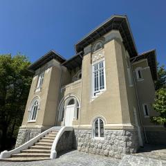 Vila Doctor Popovici