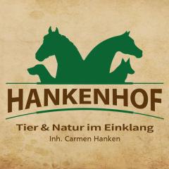 Ferienwohnungen auf dem "HANKENHOF" - 55169