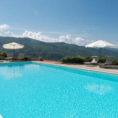 Universal Harmony - Nibbio