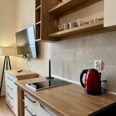 Apartament Górna 20