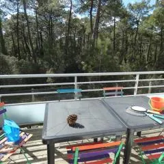 Notre-Dame-de-Monts : Appartement 4 pers, terrasse vue forêt - FR-1-540-322