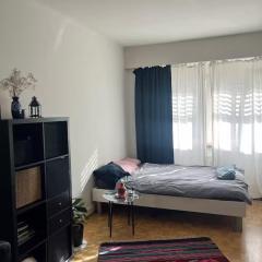A cute room with 1,5 bed in shared flat