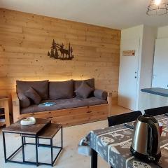 Villard je t'aime - Résidence Les Tennis - 2 Appartements 2 pièces 5 p et 6 p