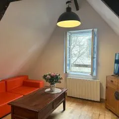 T2 - Charme et confort au coeur de ville