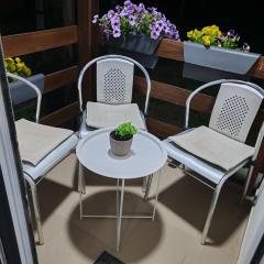 Sveti Luka- OBRADOVIĆ SOKAK 41