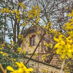 Вілла Білий Бізон Хмелева