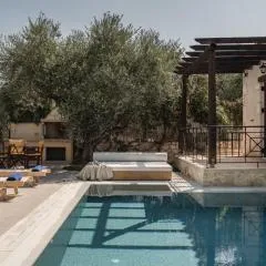 Viatzo Villas - Eclectic Villas with Heated Saltwater Pools