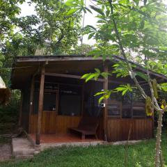 Secret Forest Station