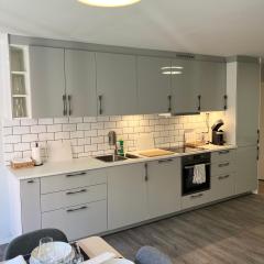3BR Penthouse in city center with free parking