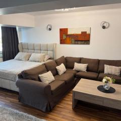 Cozy Unirii Apartment near Old Town