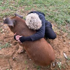 The Farm - Nguyen Shack