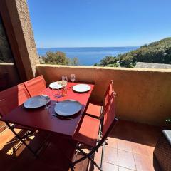 Charmant appartement vue mer