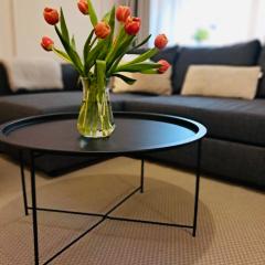 Cherry Apartment