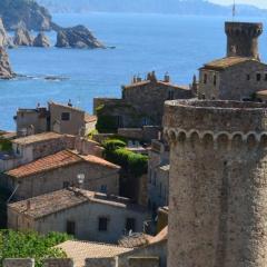 Miquel 1 centro de Tossa,