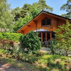 Villa in Forest with Private Sauna