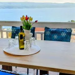 Villa Roing S