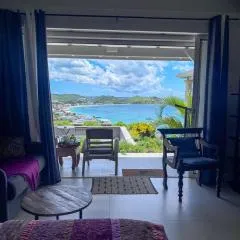 Carribbean Hill - Stunning View and infinity pool