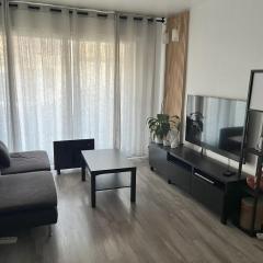 Appartement au centre-ville