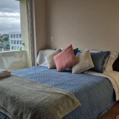 Departamento Central Osorno 2