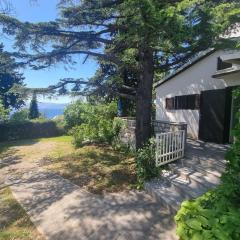 ZYMPRESSE NV 3 - Apartment 70 m from the beach