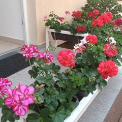 Apartment Marelja - private parking and balcony