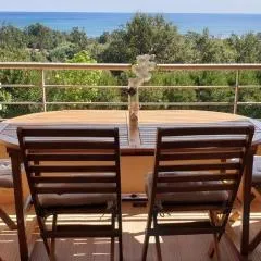 SOLENZARA sea view