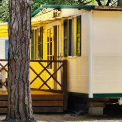 MareBlue Mobilhomes on Camping Mare e Pineta