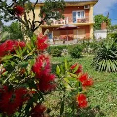 APP_garden_1