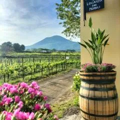 Vesuvio Inn Guest House e Wine Experience