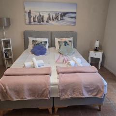 Little Sea Stars, Tivat