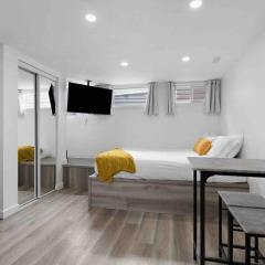 Modern Niagara studio