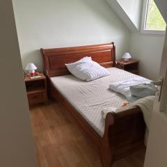 Ferienhaus am Theißsee in Ungarn