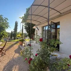 Brin d'Olivier en Luberon