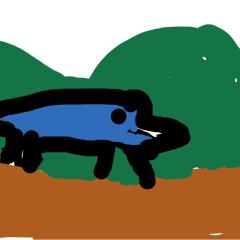 La playa