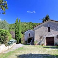 Il Gallo d' Oro - Pulcino