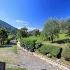 Il Gallo d' Oro - Oca