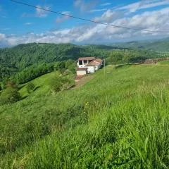 La Paulotta