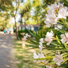 Camping 4 étoiles - Piscine - ccaaeag