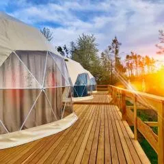 Glamping Trhovky