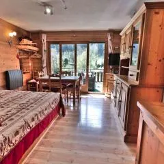 Charmant Studio Montagne Rénové, 4 Pers, Balcon Sud, Proche Centre - FR-1-458-106