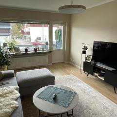 Newly renovated, spacious flat!