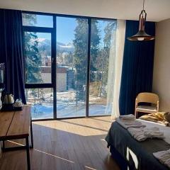 Flat in Bakuriani forest