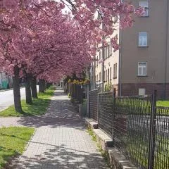 Apartmán Kumburská - Nová Paka