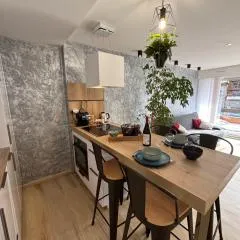 T2 lumineux l' Edelweiss pied du Prorel avec garage privé