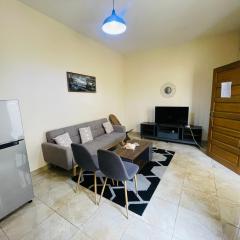 Appart individuel ou couple-Business-Lune de miel ou Vacances