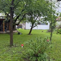 Apartments and Rooms MN, Konjic