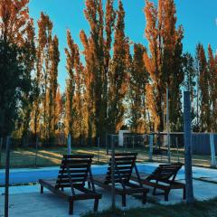 Ciruelos del Sur - San Rafael Mendoza