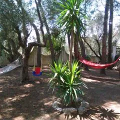 Casa Vacanze La Pineta